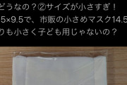 【画像】 アベノマスク、使用した人が洗濯してみた画像をアップｗｗｗｗｗｗｗ