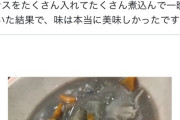 【悲報】人気女性声優「お味噌汁を作ったら青い味噌汁になっちゃったｗ」