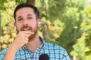 「泥棒が増えています」というニュースを伝えてる記者の肩にインコが止まりイアホンを盗んで飛びたつ