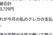 【ドラクエ】熊澤英一郎（44）「5chのニート共、俺の今月のお小遣い32万円だけど？羨ましいか？w」←コイツの敗因