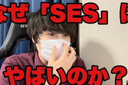 SES勤務で単価75万に対して給料40万って安くない？