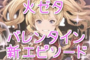 【グラブル】ヘルエス「これより第二回団内PTA会議を始めます！」イルザ「何なんだこれは」