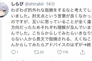 【和解】あの絵師がTwitterでキレ散らかした件について謝罪した模様ｗｗｗｗ