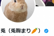 【Vtuber】兎鞠まりTwitter復活