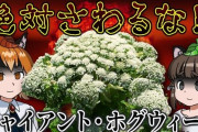 日本国内で超絶危険な植物が発見される・・・触れるとこうなるらしい、絶対に触るな！！！