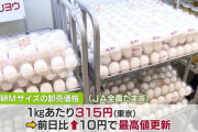 【悲報】 卵、300円超え