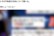 【クールビズ問題】なぜ『おじさんのハーフパンツ』はキモいのか…その心理を専門家が分析→斜め上の見解におじ困惑w（動画）