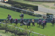 日曜の落馬事故で金子が記憶喪失、頸椎損傷　大江原は右鎖骨骨幹部骨折　小牧加は頭部打撲