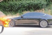 【韓国高級車】米国でヒョンデ・ジェネシス約9万台リコール…「火災の危険性」