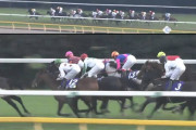 武豊と合ってなかった馬