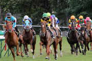 実は重賞勝ってない馬