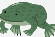 ウーパールーパーとカエルの遺伝子掛け合わせた生き物きもすぎわろた