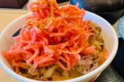 【画像】牛丼に「紅生姜」を乗せて食ってる奴おるけど、あれって必要か？