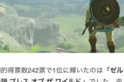 【悲報】ネット民がガチで選ぶ「コアゲーマー総選挙」、結局あのゲームが1位になってしまうｗｗｗｗ