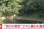 【福井】“ブラックバス釣りの20代男性”クマに襲われ重傷