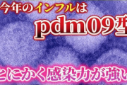 【緊急】インフルエンザ『pdm09型』大流行 → その特徴がこれらしい…