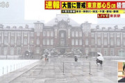 【衝撃画像】大雪の東京都、衝撃の現場写真をご覧ください・・・