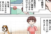 【漫画】この犬の正体は一体？実家の縁側で私だけが出会える「茶色い犬」