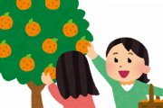 通行人「ミカン分けて？」農家「有料です」通行人「え？」農「え？」→結果