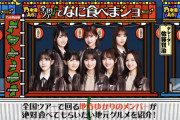 【乃木坂46】大阪ってどのメンバーが紹介するの…？