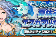 【パズドラ】夏休みエスカマリ杯　立ち回り　検索