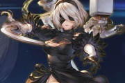 【GBVSR】大人気キャラ『2B』が参戦決定！！→長文お気持ち表明するオタクが登場…