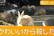 「かわいらしいウサギを蹴ったらどうなるのか、見てみたかった」…容疑の男を送検、広島・大久野島で死骸８０匹