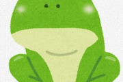 おんJ民さん「新種のカエルいたぞ！ガチ！！」（画像あり）