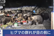 【悲報】陽キャ「ゴミ捨て場にいったらヒグマが沢山いた」ﾊﾟｼｬ