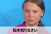 グレタ「過去10年で具体的な温暖化対策は一つもない」→　そりゃそうだろ、温暖化してないんだから [1/18]