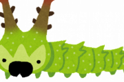 【朗報】クッソ派手な幼虫、見つかるｗｗｗｗｗｗｗｗｗｗｗｗｗ