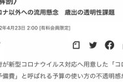 １１兆円使途不明金問題ヤバすぎｗｗｗｗｗｗｗ