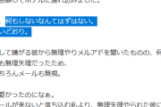 【悲報】ラオスでの児童買春に声を上げたフェミさん、過去に性犯罪ギリギリの行為をブログで告白していた