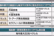 韓国「IAEA議長国になった！福島汚染水放出へのロビー活動強化ニダ！」→「除外された…」