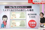 【悲報】夏の旅行「控える」が67%、Go To キャンペーンに1.7兆円かけるのに…