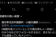 乃木オタの有名ライター大越ひなのを叩いてるのは日向坂オタ