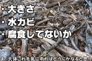 海で拾った流木の活用法