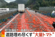 トマトが道路に散らばり、自動車が進めない状況になる （※画像あり）