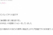 小林麻耶さん「海老蔵に襲われました」