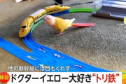 【ひほう】とり鉄さん、電車を追いかけ回す…