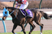 オジュウチョウサンは顕彰馬に選ばれるべき