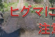 北海道猟友会会長｢ヒグマの駆除は警察と自衛隊だけでやってほしい｣｢いろいろなケガなどがあり､一人も会員をなくしたくない｣