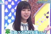 『日向坂46河田陽菜さんへ』ひなあいで名前が出た西村知美さんがブログでまさかの反応wwww「よく道端の草を食べながら 帰っていました(笑)」