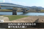 同僚をクレーンで吊りあげて川に投げ入れ暴行　建設作業員４人を逮捕…同僚は１か月後に同じ川で溺死