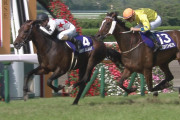 【競馬】宝塚記念って欧州のキングジョージみたいにもっと3歳馬が積極的に参戦しても良いんじゃないの?