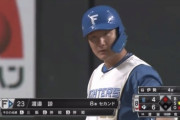 日ハム渡邉諒　空三振 投併打 三併打 右飛