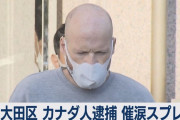 日本「カナダ人が東京で催涙スプレーかけて逮捕されたんだけど…」