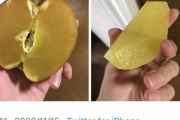 【画像】中身全部密のりんごが発見されるｗｗｗｗｗｗｗｗｗ
