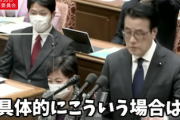 【安定の糞政党】アホの立憲民主党さん「『反撃能力』を発動する『具体的な事例』を言え」（国会動画）