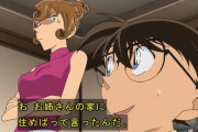 【名探偵コナン】江戸川コナン「って、ことだよね！オバサン！（29）」←これさぁｗｗｗ